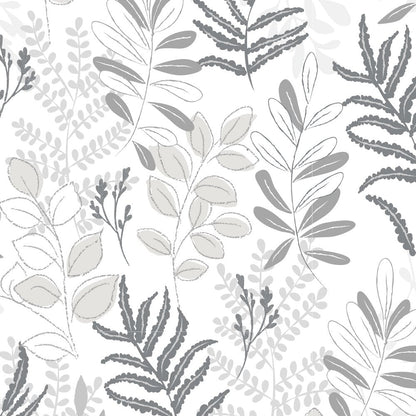 Gray Ferns